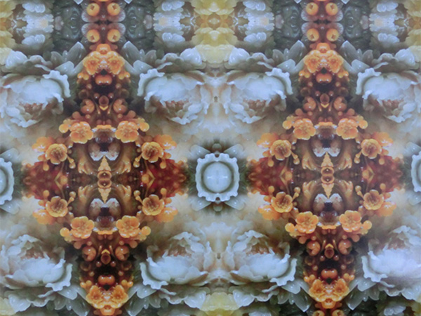 6 陌上花開.jpg